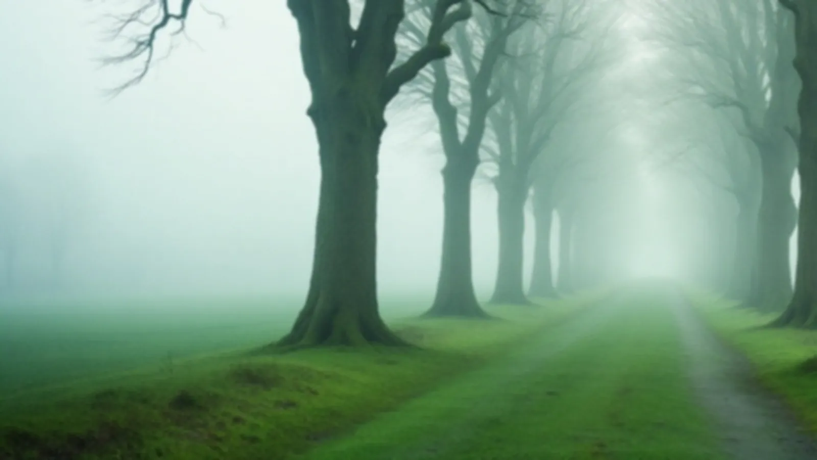 A row of old elm trees along a quiet green path in soft morning mist, the ElmYield view of short-term loans online, $100 – $5,000